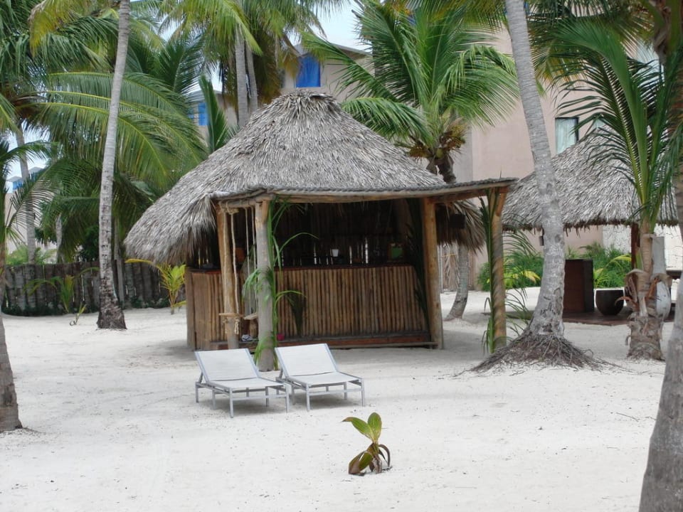 Saftbar Catalonia Royal Bavaro - Adults only