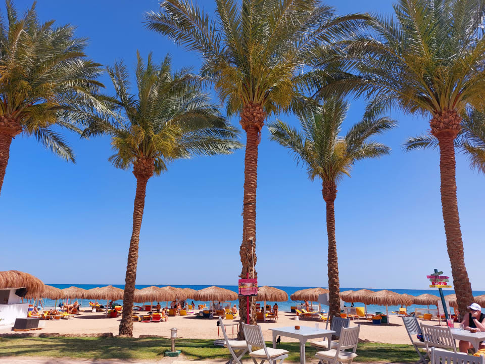Strand Sentido Caribbean World Soma Bay