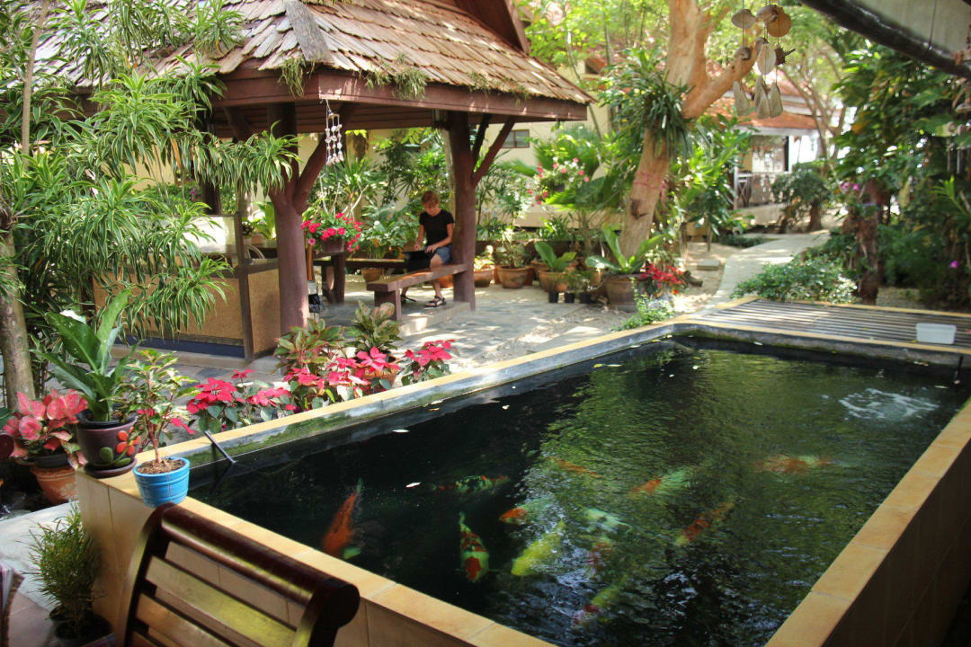 Internetecke mit Austauschbibliothek und Karpfenteich Hotel Bayview Beach Resort