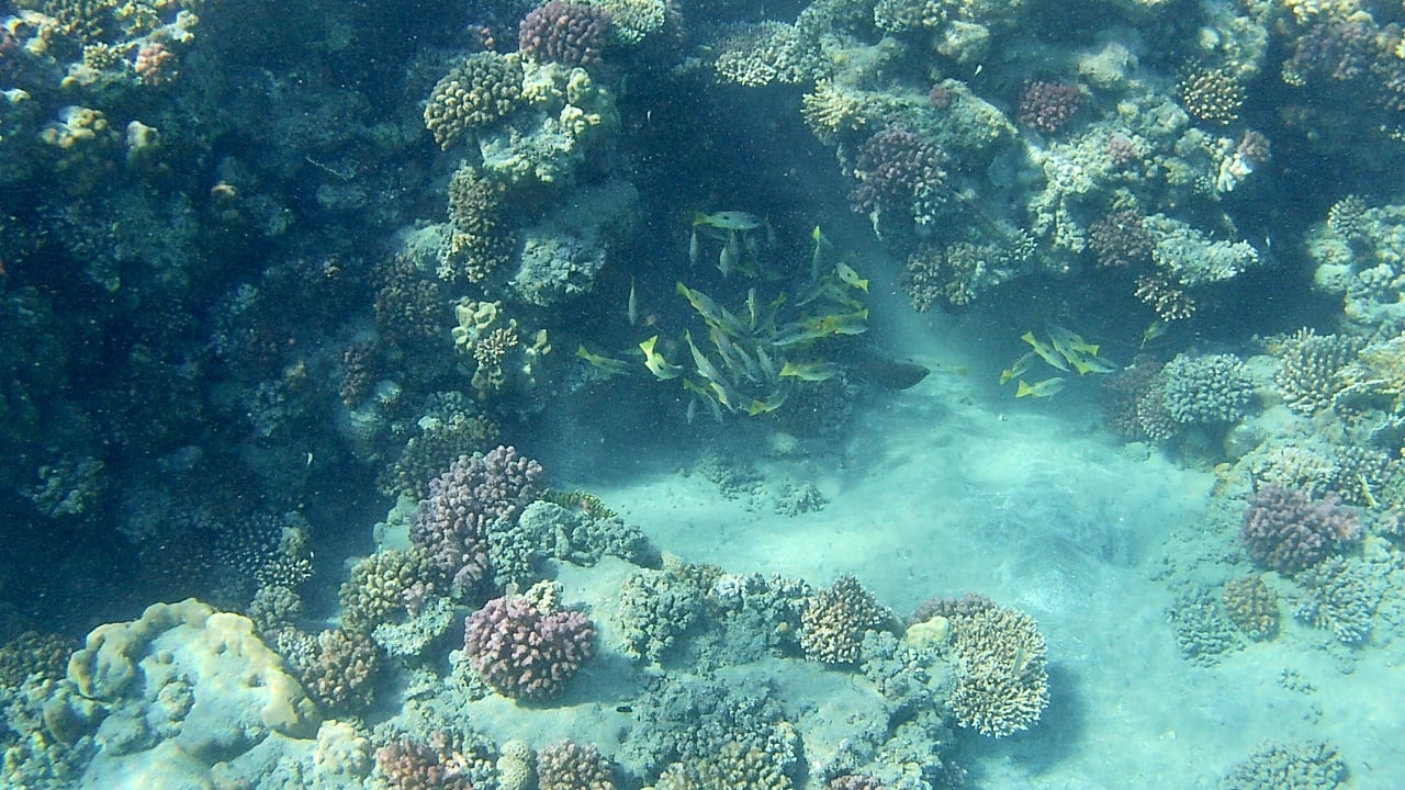 Sport & Freizeit Hilton Marsa Alam Nubian Resort