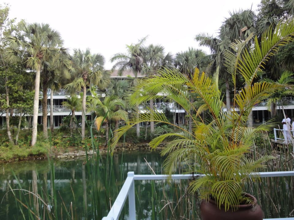 Spa Couples Negril - Adults only