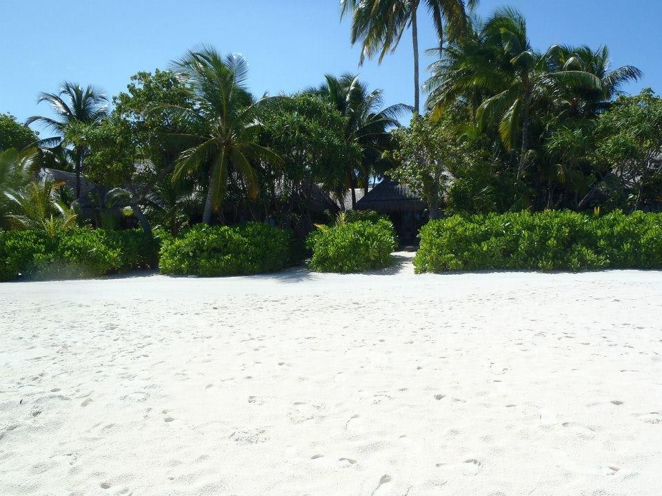 Blick zum Beachbungalow 16 Constance Moofushi Maldives