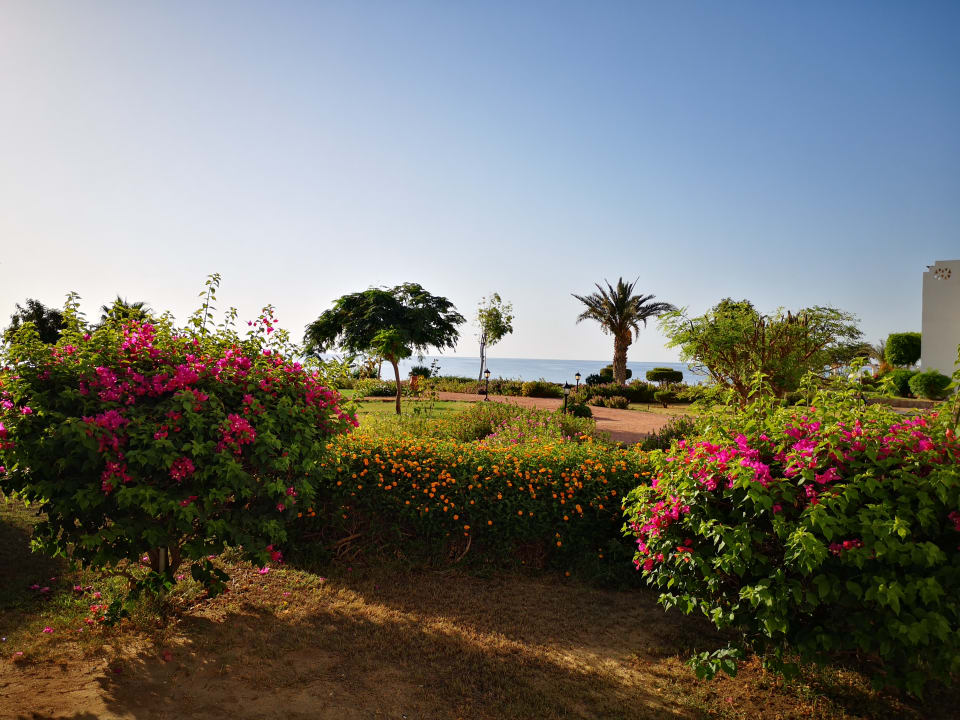 Gartenanlage Three Corners Equinox Beach Resort