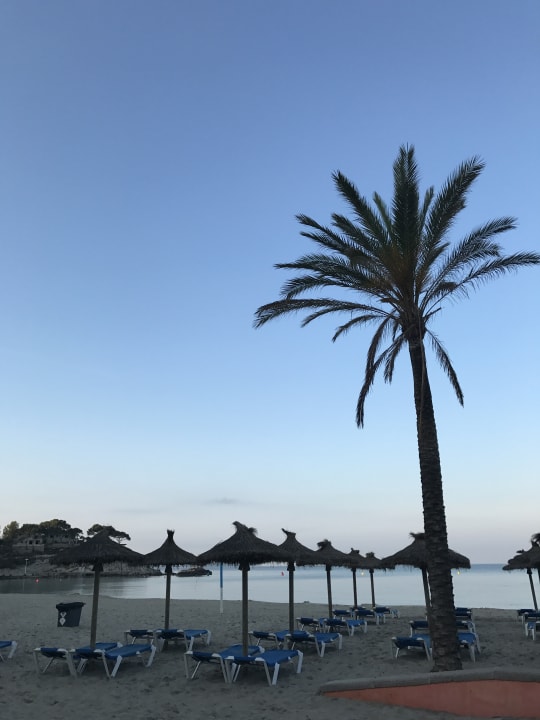 Strand Valentin Reina Paguera