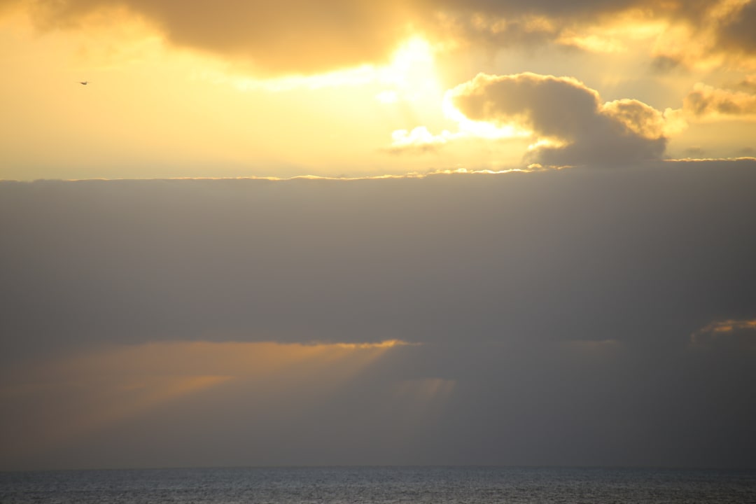 Ausblick Meliá Llana Beach Resort & Spa