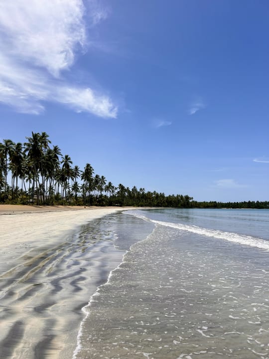 Strand Viva V Samana by Wyndham – Adults Only