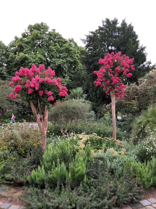 Gartenanlage IntercityHotel Mannheim
