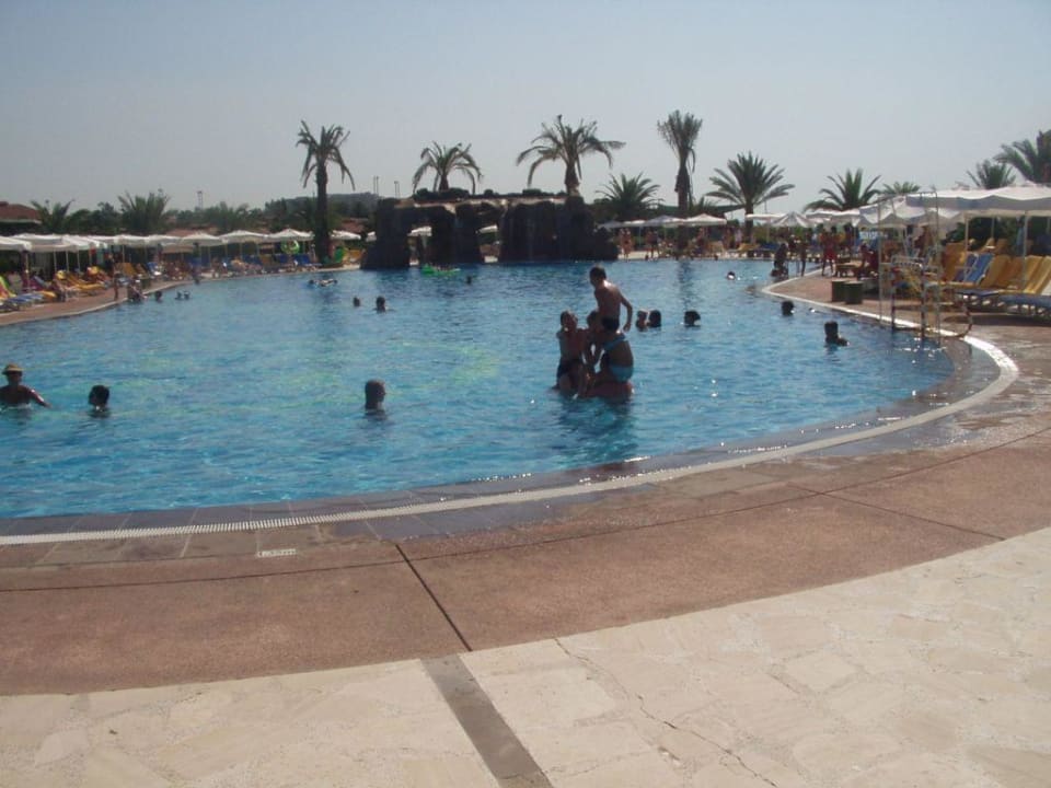 Pool Papillon Belvil