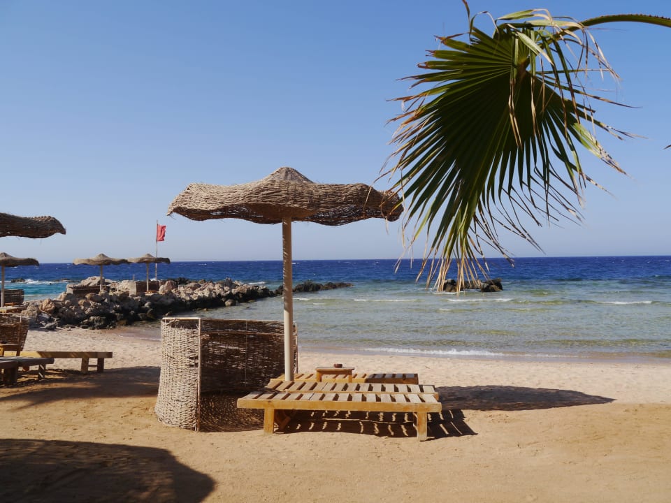 Meer Pickalbatros Citadel Resort