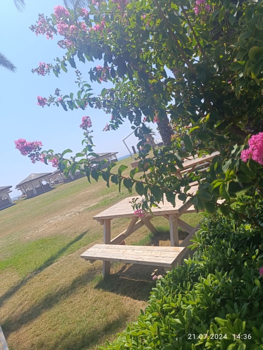 Ausblick Selectum Family Comfort Side