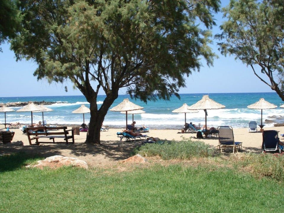Liegewiese, Strand Phãea Cretan Malia