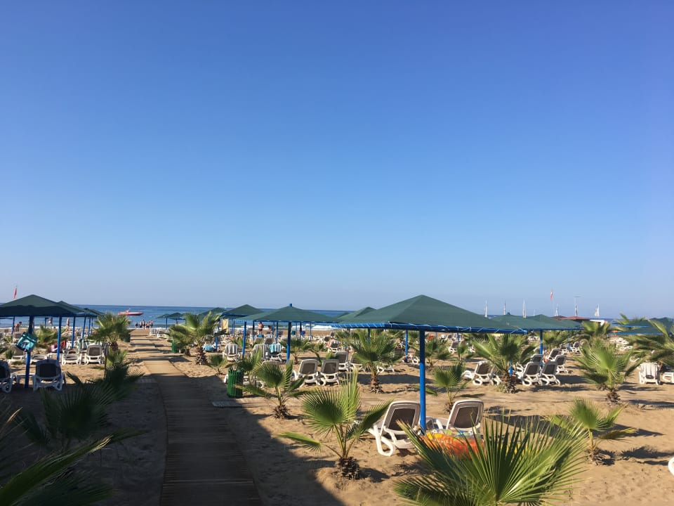 Strand Paloma Oceana
