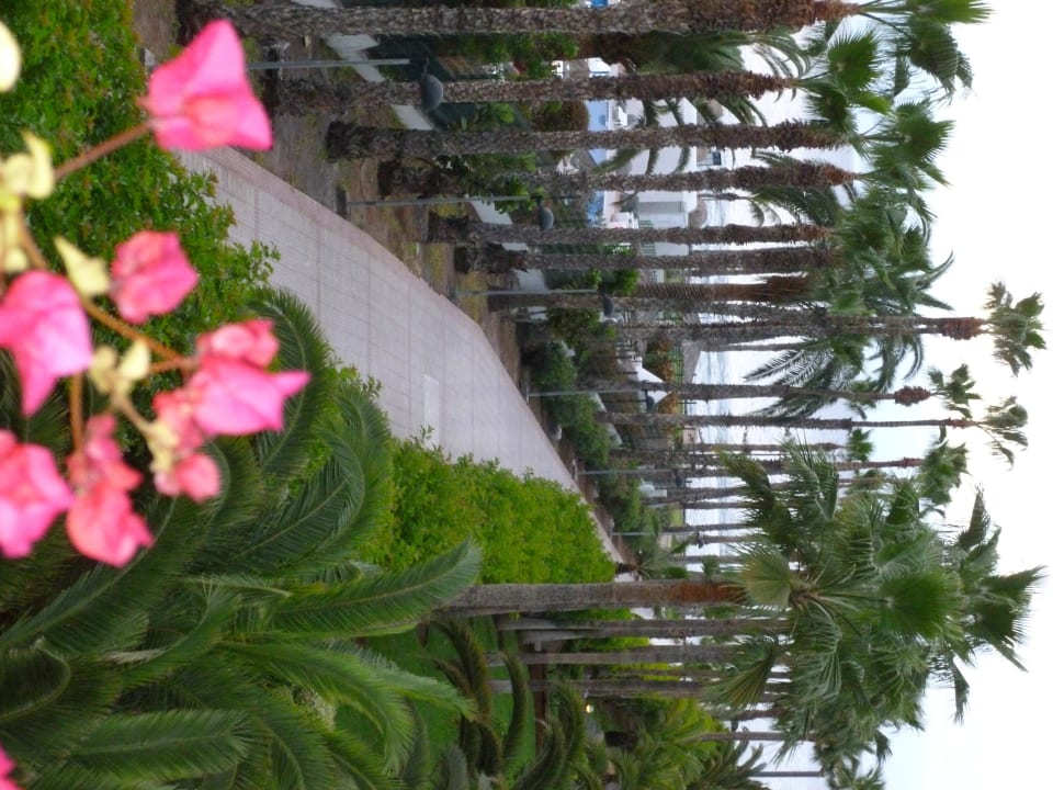 Seitlicher Blick aus dem Zimmer Hotel Riu Palace Tenerife