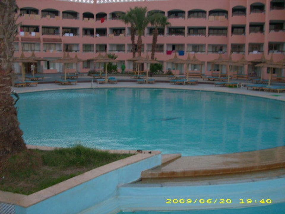 Poolanlage Beach Albatros Resort