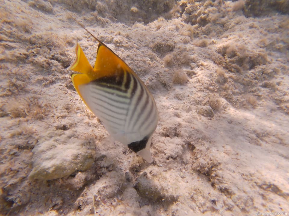 Strand Three Corners Sea Beach Resort