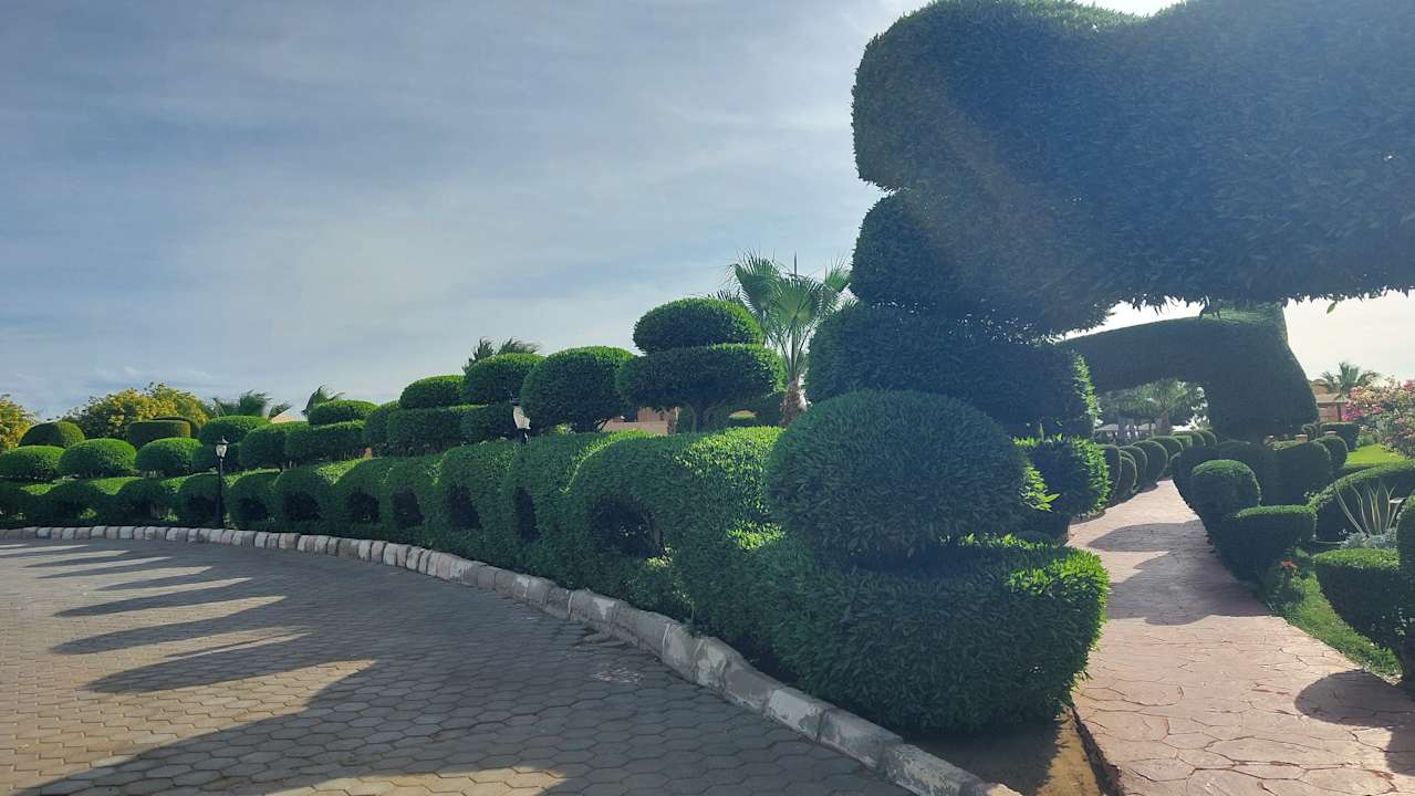 Gartenanlage Wadi Lahmy Azur Resort