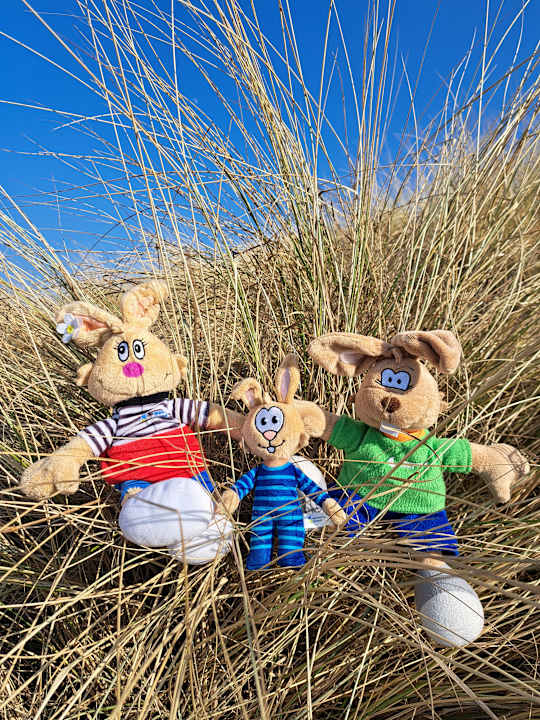 Sonstiges Ferienwohnungen Ferienpark Weissenhäuser Strand