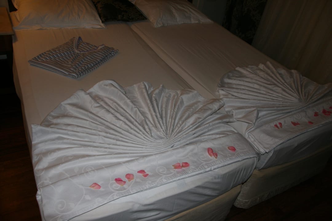 Nett Alba Queen Hotel