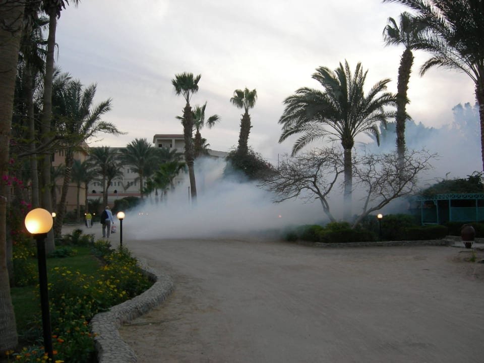 Nebelwolke Giftun Azur Resort