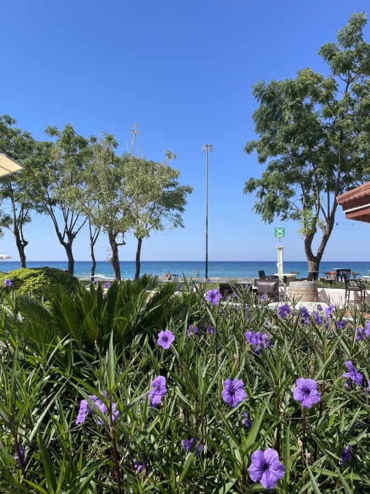 Gartenanlage Labranda Alantur Resort