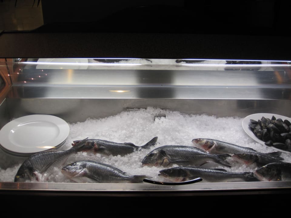 Täglich frischer Fisch zum Ansehen Hotel Saudade