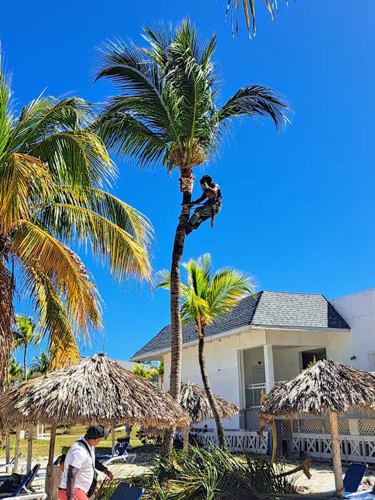 Außenansicht Paradisus Varadero Resort & Spa