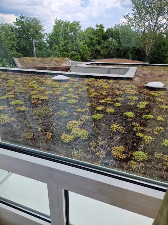 Zimmer Parkhotel Weiskirchen