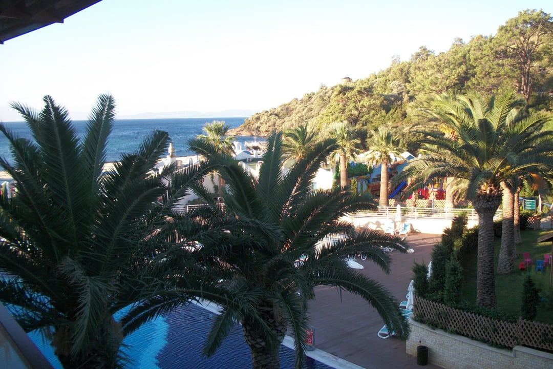 Zimmerblick Paloma Pasha