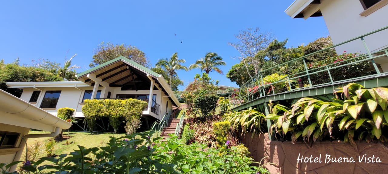 Gartenanlage Hotel Buena Vista