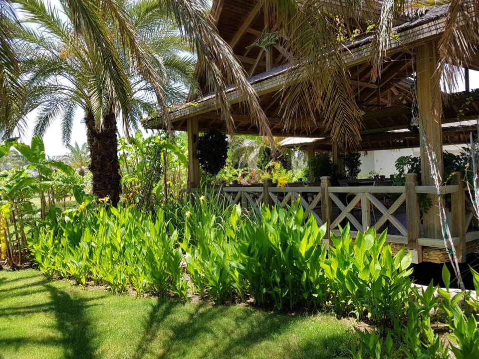 Gartenanlage Royal Wings Hotel