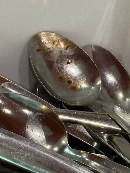 Gastro SBH Costa Calma Beach Resort