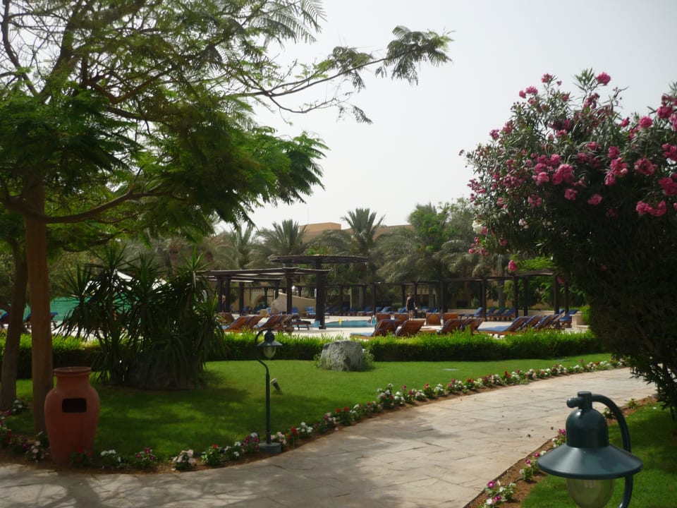 Gartenanlage zum Pool Miramar Al Aqah Beach Resort