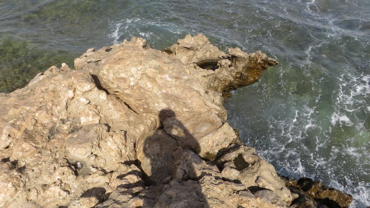 Selbst erklärend Coral Hills Resorts & SPA