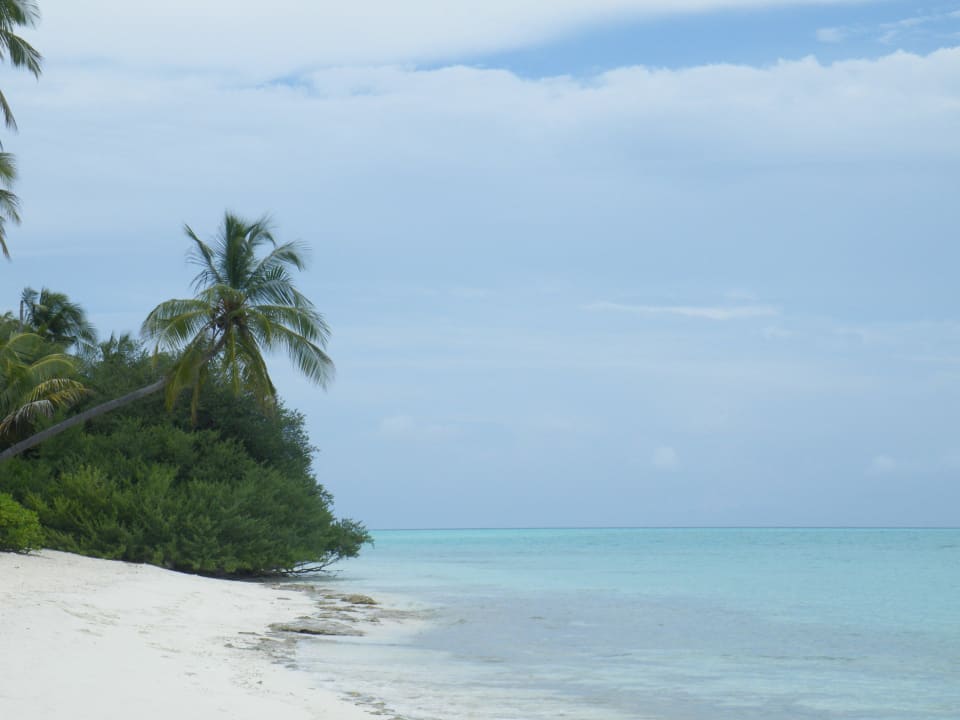 Traumstrand Kuramathi Maldives