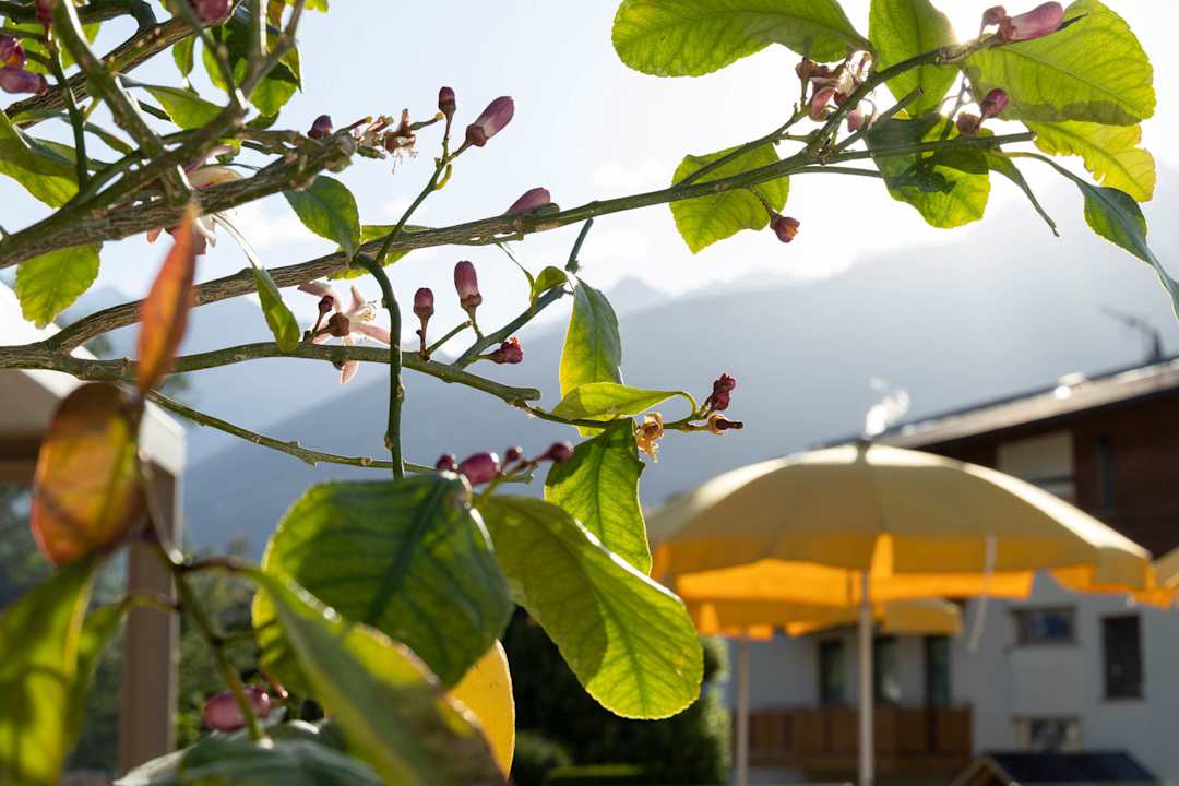 Außenansicht Hotel Laurin