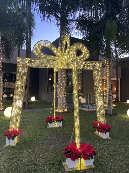 Gartenanlage Hotel Riu Palace Oasis