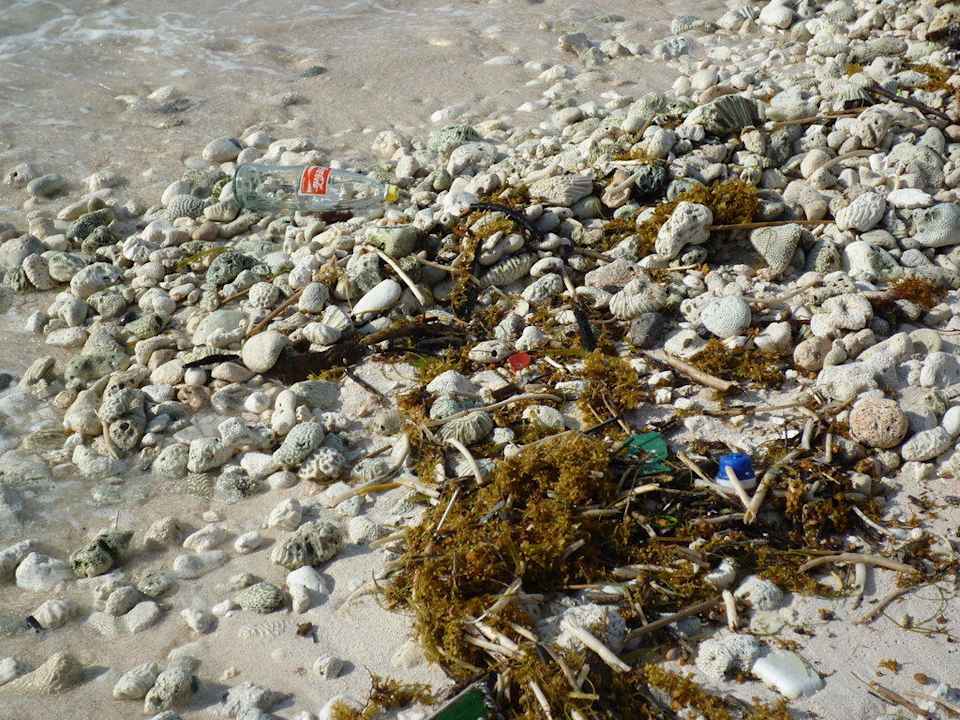 Strand Grand Palladium Kantenah Resort & Spa