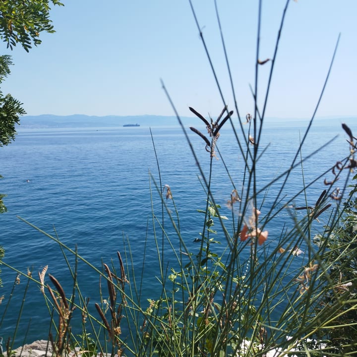 Ausblick Hotel Excelsior - Liburnia