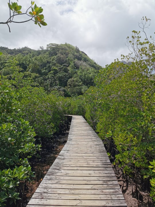 Gartenanlage Constance Ephelia