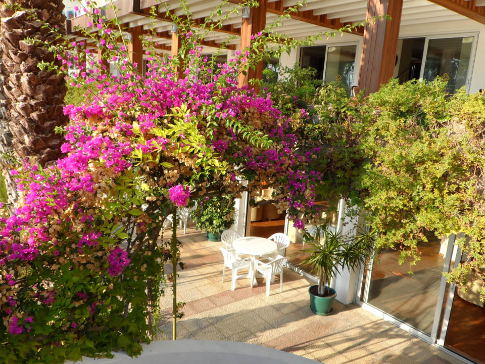 Areál hotela Top Hotel