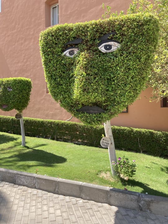 Außenansicht Jaz Makadi Blue - TUI BLUE Makadi - Adults Friendly 16 Years Plus