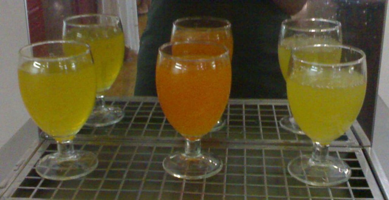 Unser Frühstückssaft Canary Garden Club