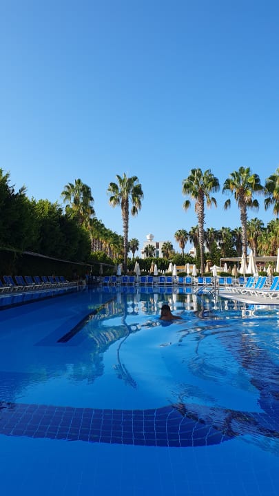 Pool Hane Family Resort