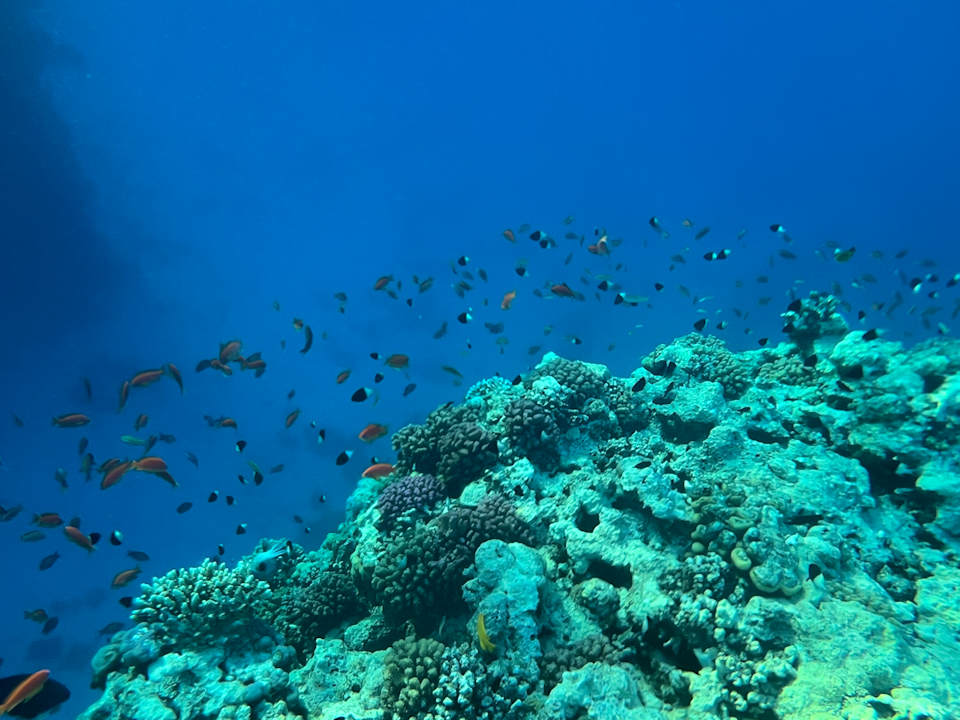 Sonstiges ROBINSON SOMA BAY