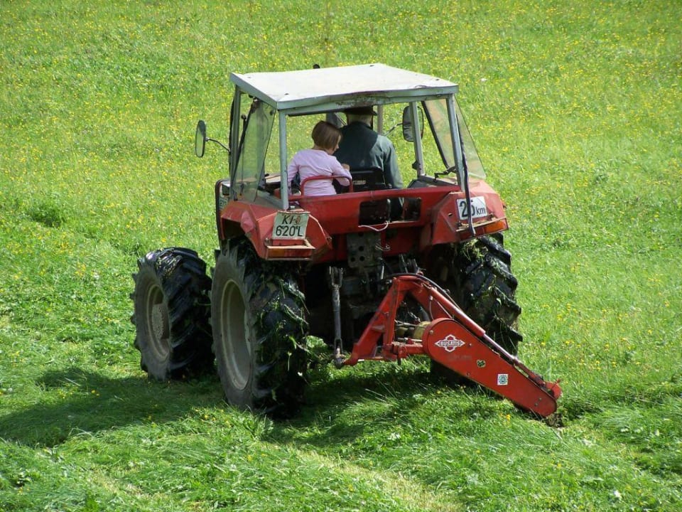 helfen auf dem Bauernhof Familienbauernhof Grossgrub