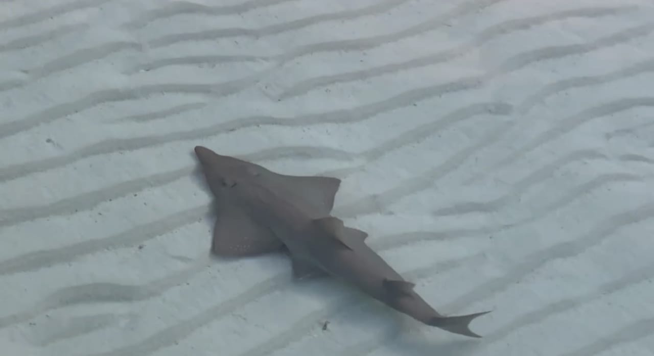 Strand Le Meridien Maldives Resort & Spa