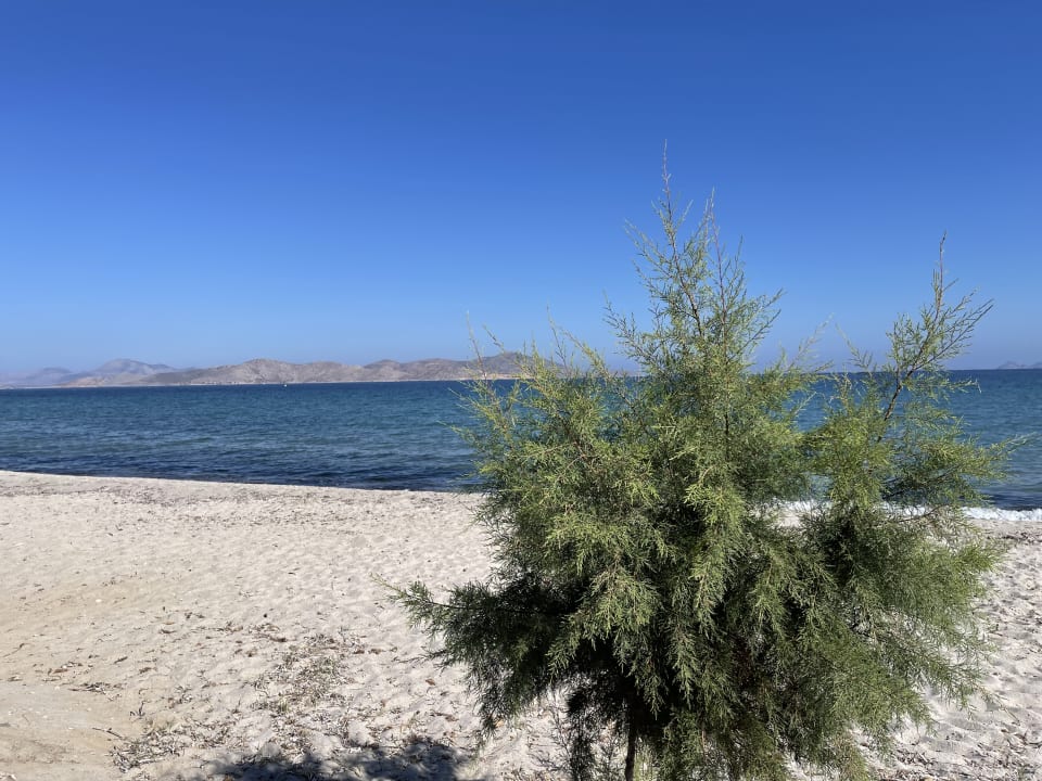 Strand Blue Lagoon Resort