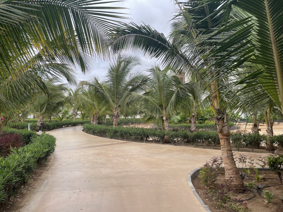 Gartenanlage Hotel Riu Palace Boavista