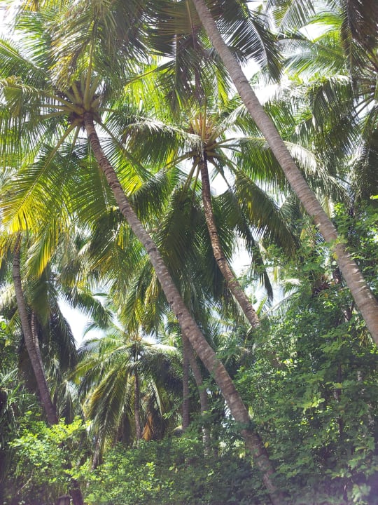 Garten Reethi Beach Resort