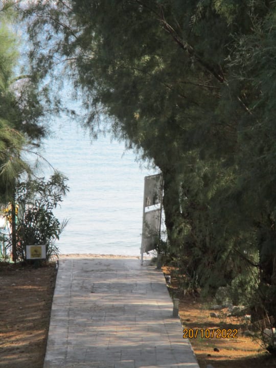 Gartenanlage Irene Palace Beach Resort Club alltoura